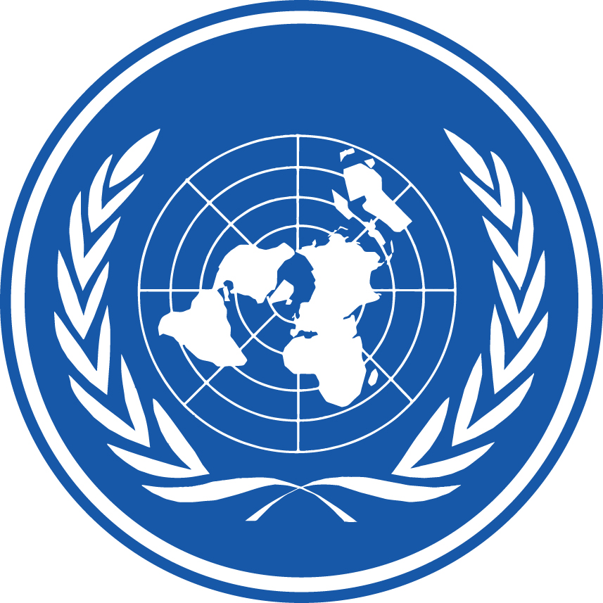 Оон регион. Флаг ООН. Символ ООН. Флаг миротворцев ООН. Эмблема ООН сталкер.